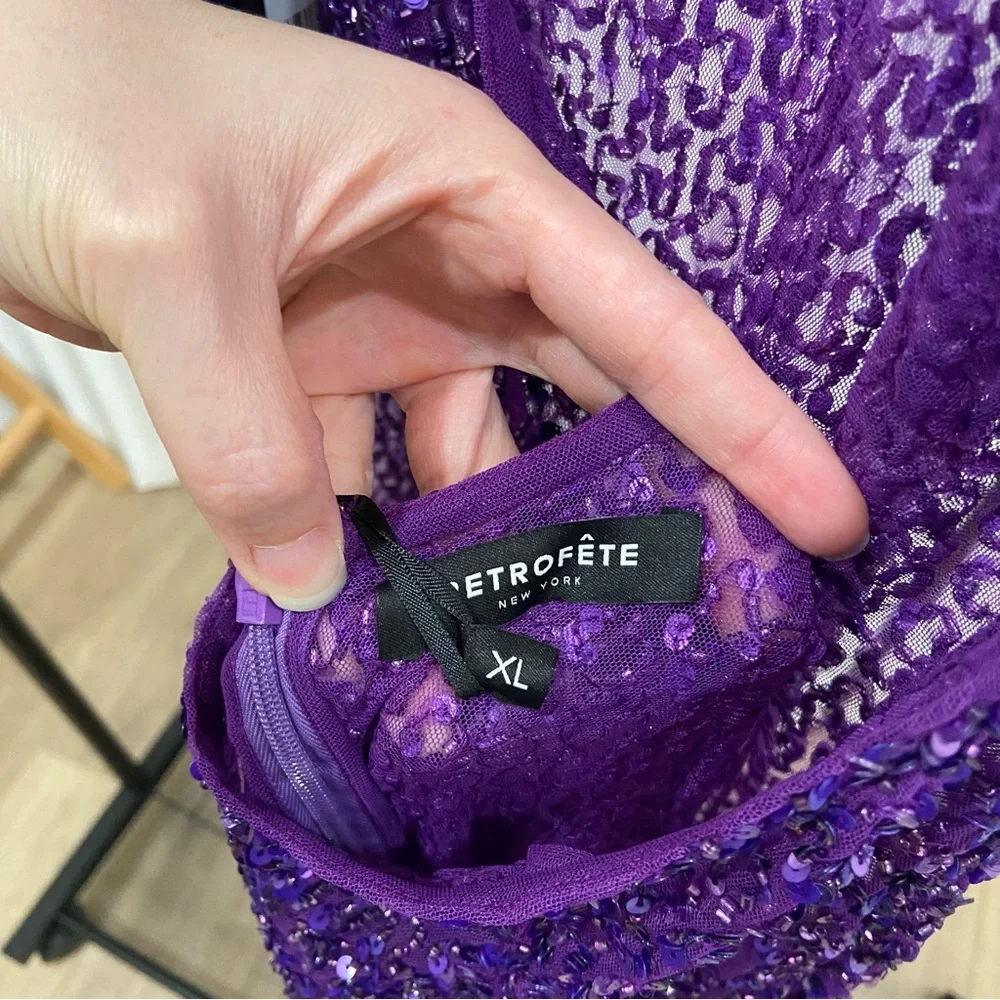 Retrofete Clarisse Sheer Sequin Dress - Picture 7 of 8